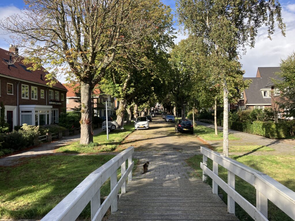 Karakteristieke straat in Krommenie, nabij kantoor Van Diepen Makelaars – makelaar in Zaanstad en Wormer